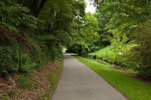 bellissimo vicolo nel parco. giardino paesaggio design foto