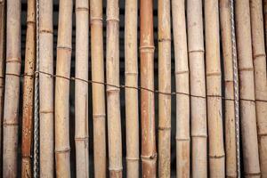 asciutto bambù parete legato con corda struttura sfondo, bambù recinto sfondo, bambù bastone modello foto