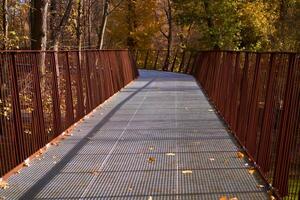 vecchio arrugginito metallo strada per pedoni e ciclisti nel il autunno parco. foto