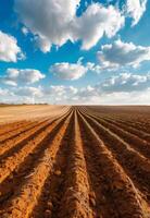 ai generato solchi. agricolo campo su quale crescere patate foto