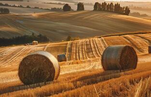 ai generato fieno balle su il campo dopo raccogliere Toscana Italia foto