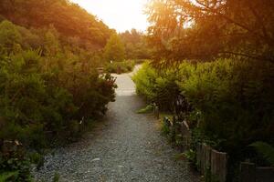 botanico giardino Le vallone du Stang alar Brest Francia 28 Maggio 2018 - un' a piedi traccia foto