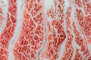 avvicinamento di a5 giapponese wagyu bistecca tagliare. foto