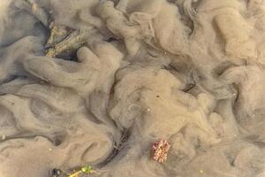 naturale struttura nel natura con naturale modello a partire dal acqua polvere foto