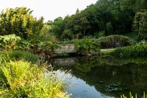 botanico giardino Le vallone du Stang alar Brest Francia 27 Maggio 2018 - piccolo lago e ponte estate stagione foto