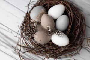 Pasqua uova nel nido di betulla rami. primavera saluto carta foto