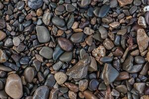 struttura di bagnato brillante piccolo mare pietre foto