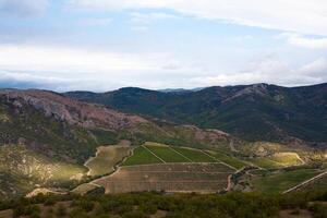 bellissimo valle nel il montagne con vigneti foto