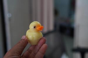 anatra sagomato gelatina dolce cibo nel mano foto