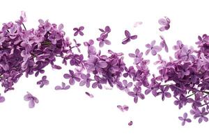 ai generato bellissimo viola lilla fiori nel zero gravità. foto