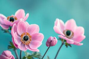 ai generato delicato rosa anemone fiori nel natura. foto