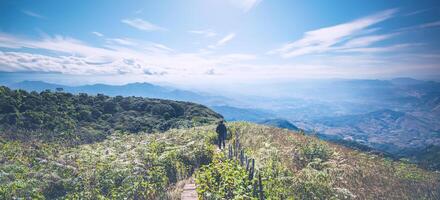 turista viaggi, natura sentieri lungo il montagna creste foto