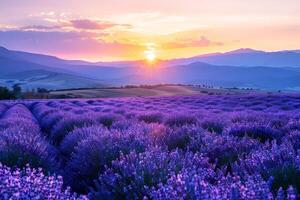 ai generato maestoso tramonto al di sopra di fioritura viola fiori valle e lontano montagna gamma foto