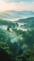 ai generato nebbioso mattina al di sopra di verdeggiante foreste colline a Alba foto