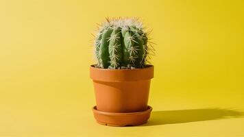 ai generato in vaso cactus isolato su un' pulito bianca sfondo foto