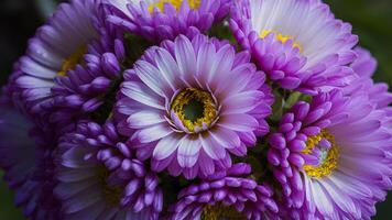 ai generato mazzo di bellissimo fiori catturato nel sbalorditivo macro dettaglio foto