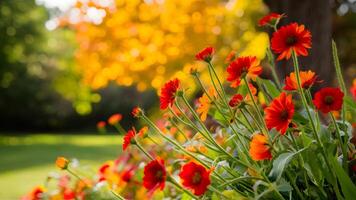 ai generato autunno giardino parco sfocato sfondo con bellissimo autunno di stagione fiori foto