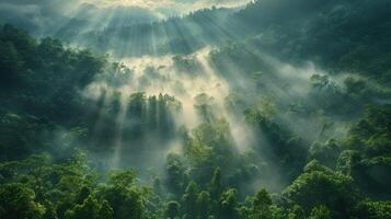 ai generato sole splendente attraverso nuvole nel giungla foto