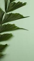 verde sfondo semplice le foglie struttura - 107 foto