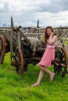 bella giovane donna nel un' rosa vestito nel davanti di un' cavallo disegnato carrozza foto