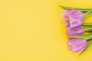 fresco primavera tulipani fiori concetto donna di giorno saluto carta La madre di giorno san valentino giallo sfondo naturale leggero selettivo messa a fuoco foto