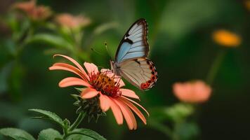ai generato blu Marrone farfalla su fiore contro bellezza ala sfondo foto