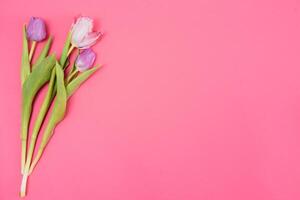 floreale sfondo con tulipani fiori su rosa pastello sfondo. piatto posizione, superiore Visualizza. donna giorno sfondo. foto