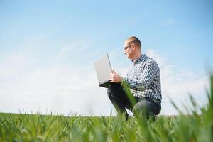 contadino con il computer portatile ispezionando Grano su il campo foto