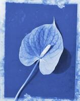 ai generato un' piatto scansione di un' cyanotype di un' fiore con blu carta foto