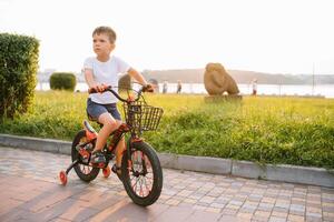 bambini su un' bicicletta a asfalto strada nel presto mattina. poco ragazzo impara per cavalcata un' bicicletta nel il parco. contento sorridente bambino, equitazione un' Ciclismo. foto