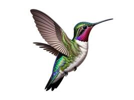 un' colibrì con un' colorato coda è volante foto