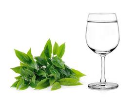 bicchiere d'acqua e foglie di tè isolate su sfondo bianco foto