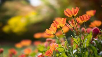 ai generato sfocato sfondo cattura bellissimo autunno fiori nel autunno giardino parco foto