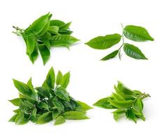 set di foglie di tè isolato su sfondo bianco foto