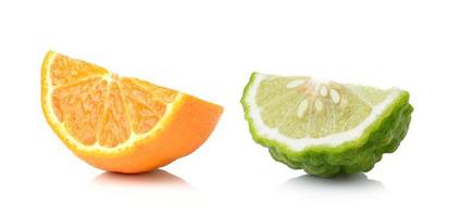 mezza arancia frutta e bergamotto fondo bianco, fresco e succoso foto