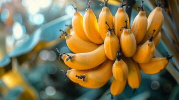 ai generato mazzo di banane sospeso a partire dal un' albero foto