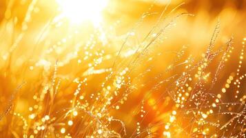 ai generato come il sole ascende, suo d'oro raggi illuminare il baciato dalla rugiada erba foto