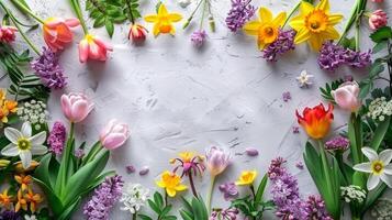 ai generato assortito multicolore fiori su bianca superficie foto