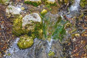 cascate e farfalle galleggianti sull'acqua del fiume Valle delle Farfalle Rodi Grecia. foto