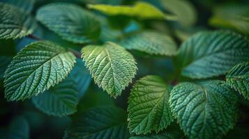 ai generato vicino su di un' verde frondoso pianta foto