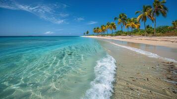 ai generato spiaggia con palma alberi e oceano foto