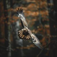 ai generato Calvo aquila volante con foresta nel il background.generative ai foto