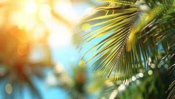 ai generato Noce di cocco palma albero le foglie su sfocato sfondo con bokeh foto