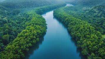 ai generato barca in viaggio giù fiume circondato di alberi foto