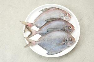 ikan dorang o ikan bawal putih, cibo preparazione foto