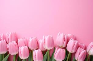 ai generato rosa tulipani contro rosa sfondo su rosa sfondo foto