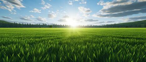 ai generato verde erba campo con sole raggi vicino il fine foto