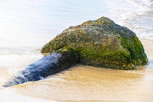 di legno travi calcestruzzo lavato su su spiaggia dopo uragano tempesta. foto