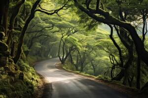 ai generato un' avvolgimento strada attraverso un' lussureggiante, verde foresta. generativo ai foto