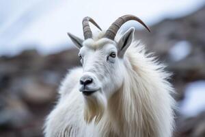 ai generato un' avvicinamento di un' montagna capra nel suo naturale habitat. generativo ai foto